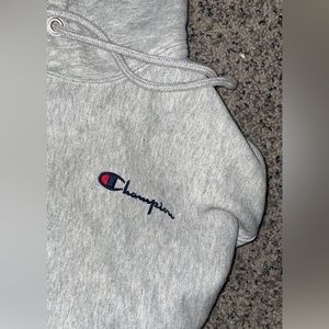 Cropped champion hoodie